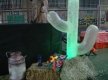 DSC05393