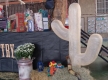 DSC05411