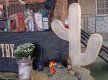 DSC05411