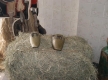 DSC05426