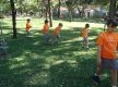 DSC01115_1_