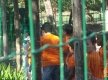 DSC01118_1_
