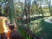 DSC01134_1_