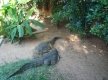 DSC01145_1_