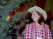Arraial_FAMA-0133