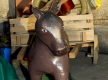 Arraial_FAMA-9173