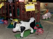 Arraial_FAMA-9177