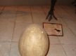 DSC03489