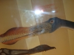 DSC03496