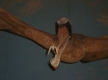 DSC03500