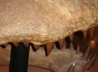 DSC03511