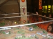 DSC03529