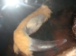 DSC03546