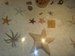 DSC03596