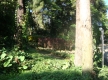 DSC00591