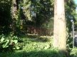 DSC00591