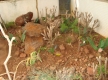 DSC00596