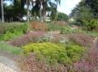 DSC00610
