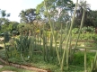 DSC00611