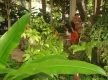 DSC00613