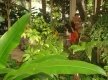 DSC00613