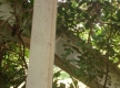 DSC00616