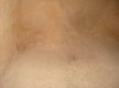 DSC00629
