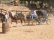 DSC03229