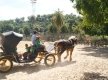 DSC03241
