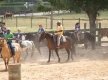 DSC03258