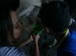DSC03434