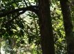 DSC08572