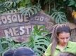 DSC08600