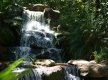 DSC08634