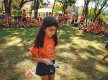 2019-10-17-FAMA-ACAMP-FAMA-1003
