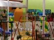 DSC02426