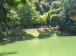 DSC06604