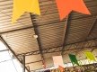 2023_07_08_FAMA_FESTA_JUNINA_0879
