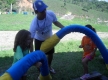 SAM_0995