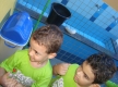 DSC02028