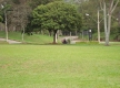 DSC09886