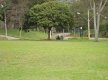 DSC09886