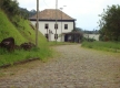 DSC09906