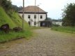 DSC09906