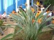 DSC09973