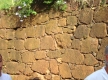 DSC09976