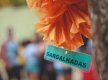 2019-10-05-FAMA-FESTA-DA-FAMILIA-1272