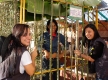Festa-Junina_027
