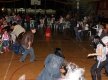 Festa-Junina_808