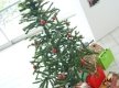 DSC00244